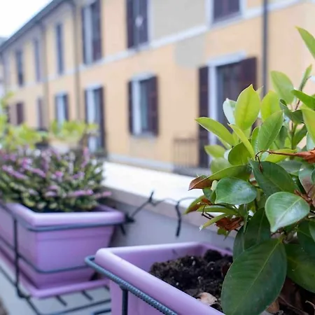 Apartament Sunny 15m Walking From The Como